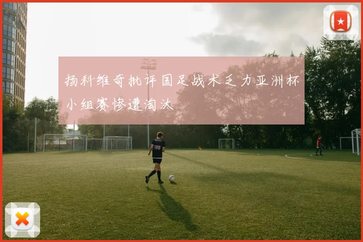 扬科维奇批评国足战术乏力亚洲杯小组赛惨遭淘汰